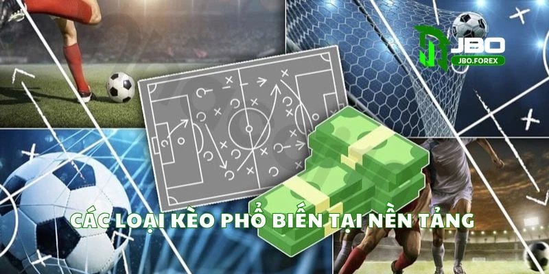 Những hình thức cược được ưa chuộng nhất trên hệ thống Những hình thức cược được ưa chuộng nhất trên hệ thống