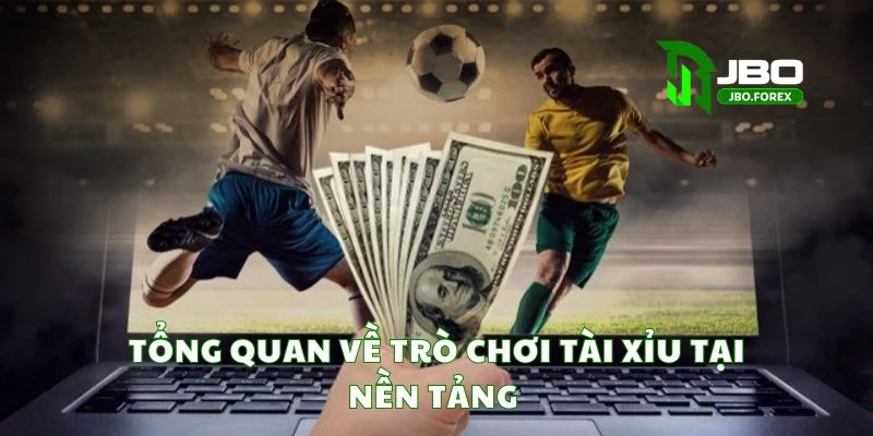 Tổng quan về kèo tài xỉu tại nền tảng Tổng quan về kèo tài xỉu tại nền tảng